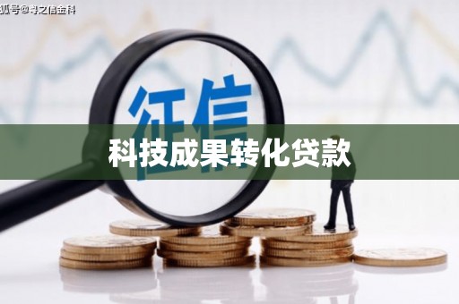 盘县科技成果转化贷款