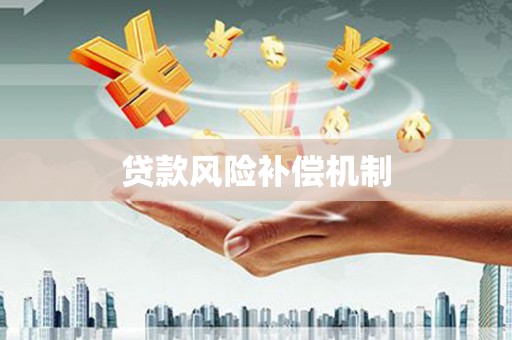 盘县贷款风险补偿机制