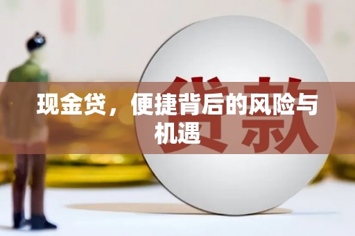 盘县现金贷，便捷背后的风险与机遇