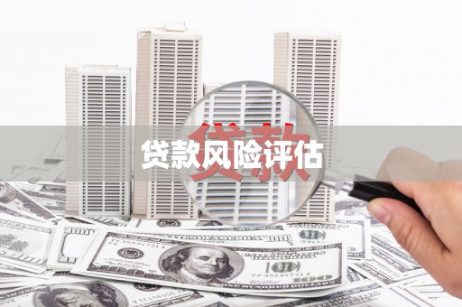 盘县贷款风险评估