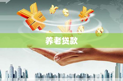 盘县养老贷款