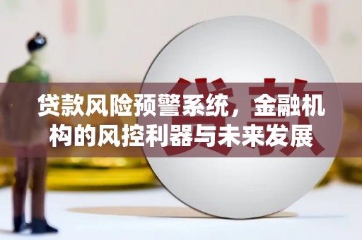 盘县贷款风险预警系统，金融机构的风控利器与未来发展