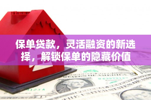 盘县保单贷款，灵活融资的新选择，解锁保单的隐藏价值