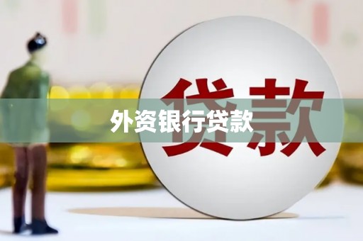 盘县外资银行贷款