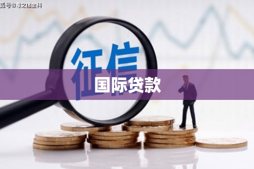 盘县国际贷款