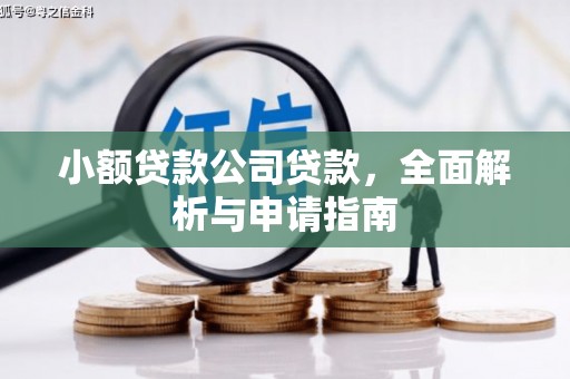 盘县小额贷款公司贷款，全面解析与申请指南