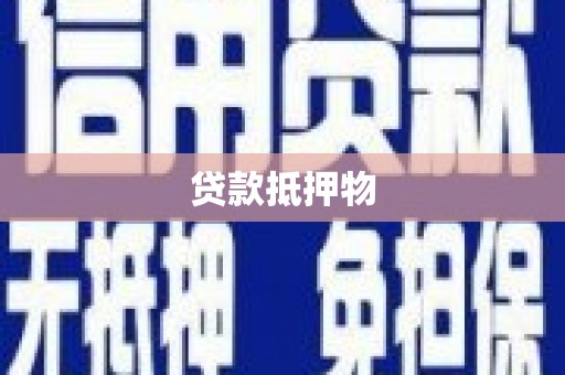 盘县贷款抵押物