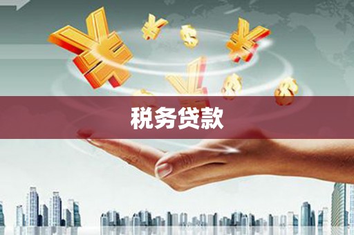 盘县税务贷款