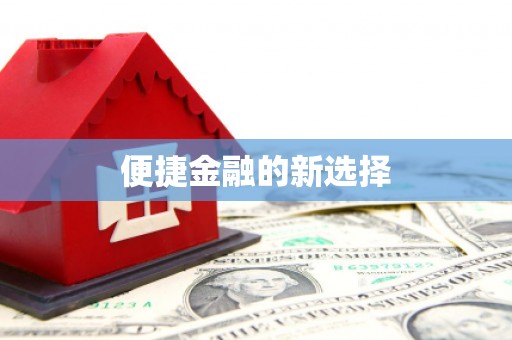 盘县便捷金融的新选择