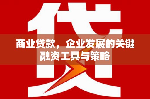 盘县商业贷款，企业发展的关键融资工具与策略