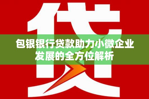 盘县包银银行贷款助力小微企业发展的全方位解析