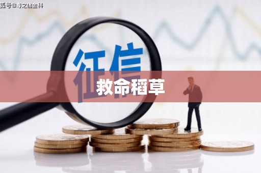 盘县救命稻草