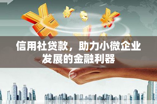 盘县信用社贷款，助力小微企业发展的金融利器