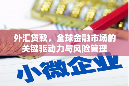 盘县外汇贷款，全球金融市场的关键驱动力与风险管理