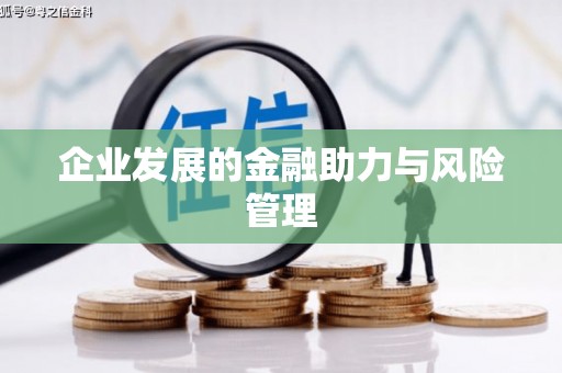 盘县企业发展的金融助力与风险管理