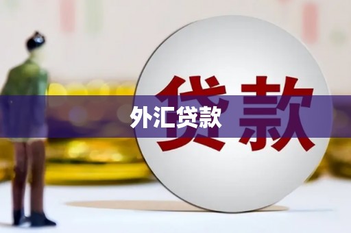 盘县外汇贷款