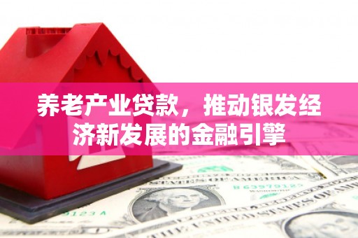 盘县养老产业贷款，推动银发经济新发展的金融引擎