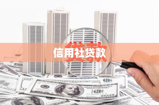 盘县信用社贷款