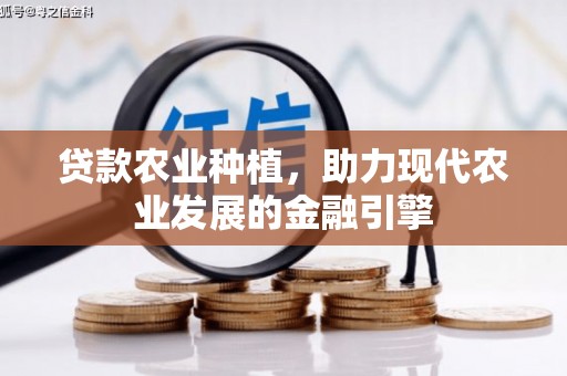 盘县贷款农业种植，助力现代农业发展的金融引擎