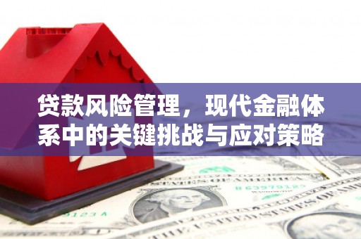 盘县贷款风险管理，现代金融体系中的关键挑战与应对策略