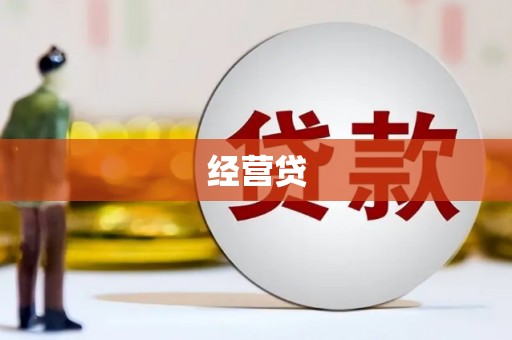 盘县经营贷