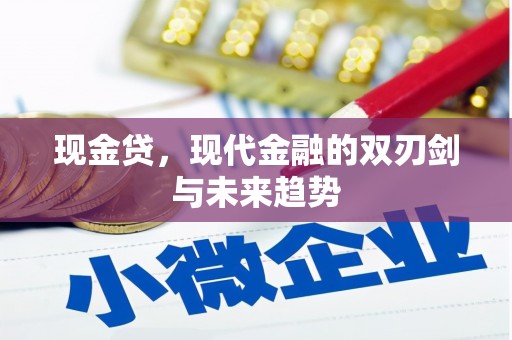 盘县现金贷，现代金融的双刃剑与未来趋势