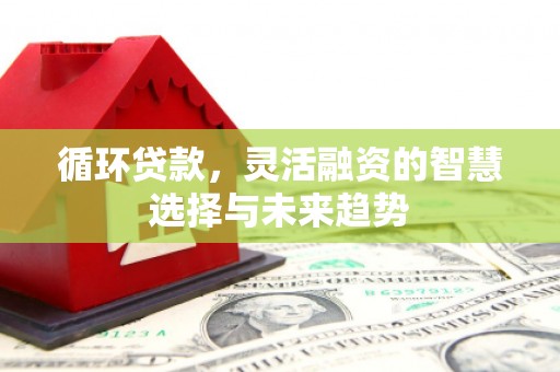 盘县循环贷款，灵活融资的智慧选择与未来趋势