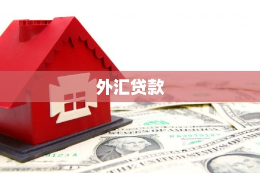 盘县外汇贷款
