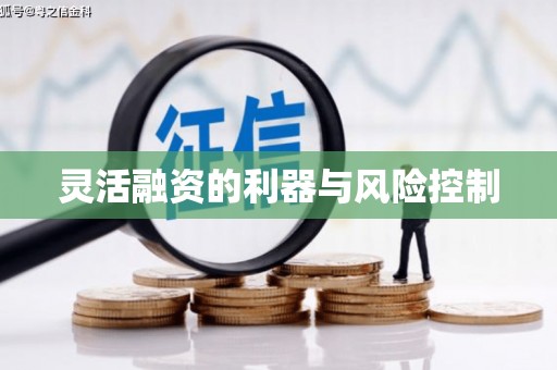 盘县灵活融资的利器与风险控制