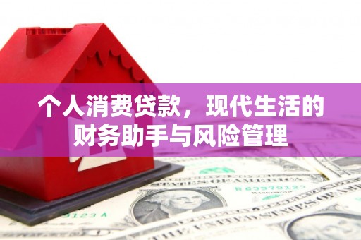 盘县个人消费贷款，现代生活的财务助手与风险管理