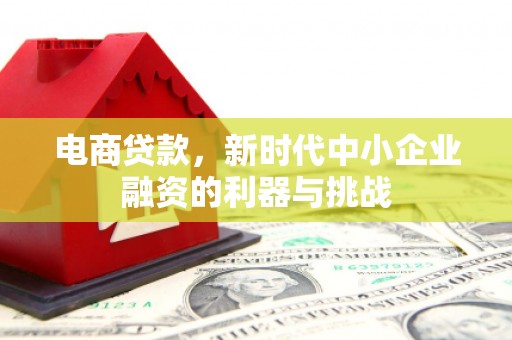 盘县电商贷款，新时代中小企业融资的利器与挑战