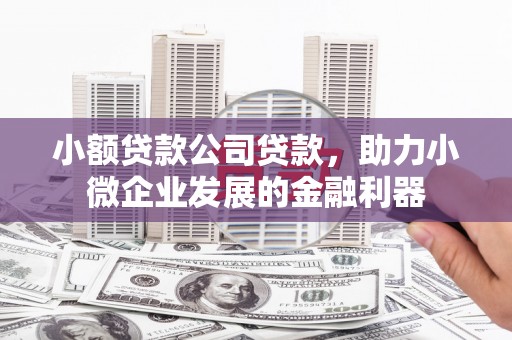 盘县小额贷款公司贷款，助力小微企业发展的金融利器