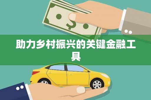 盘县助力乡村振兴的关键金融工具