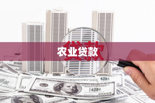 盘县农业贷款