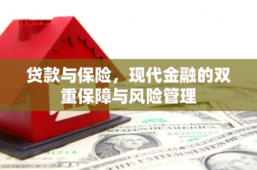 盘县贷款与保险，现代金融的双重保障与风险管理