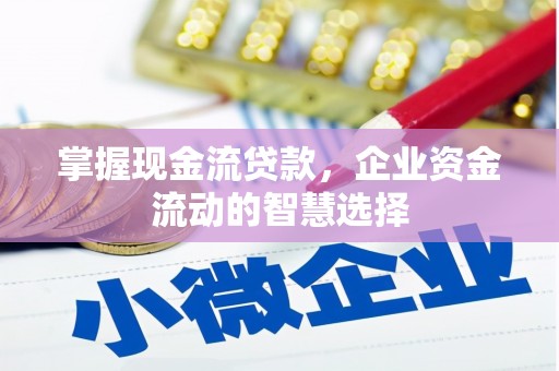 盘县掌握现金流贷款，企业资金流动的智慧选择