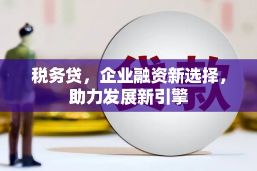 盘县税务贷，企业融资新选择，助力发展新引擎
