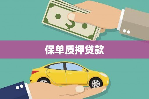 盘县保单质押贷款