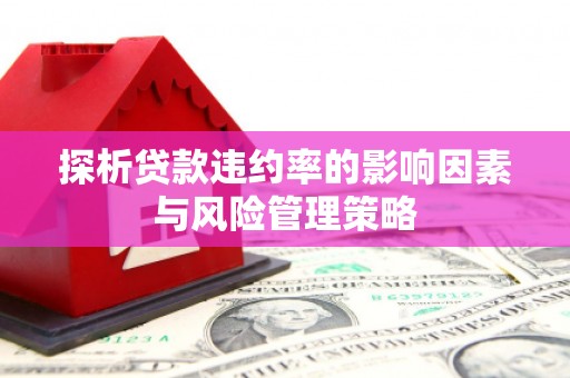 盘县探析贷款违约率的影响因素与风险管理策略