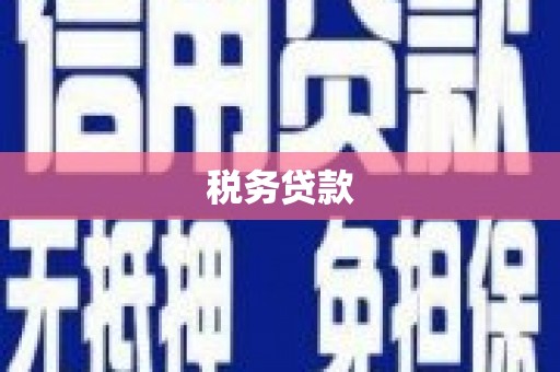 盘县税务贷款