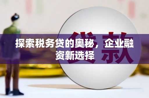 盘县探索税务贷的奥秘，企业融资新选择