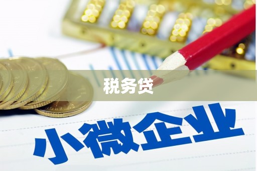 盘县税务贷