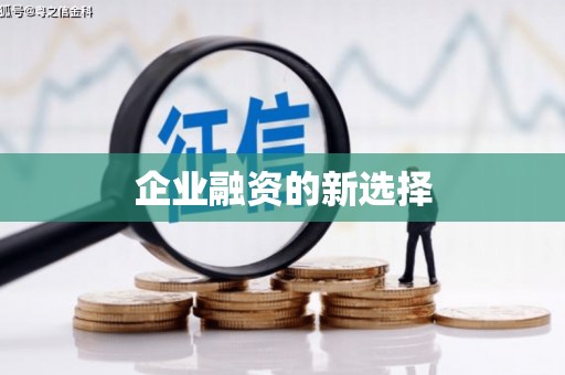 盘县企业融资的新选择