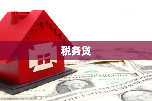 盘县税务贷