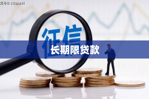 盘县长期限贷款