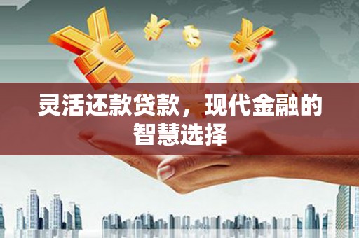 盘县灵活还款贷款，现代金融的智慧选择