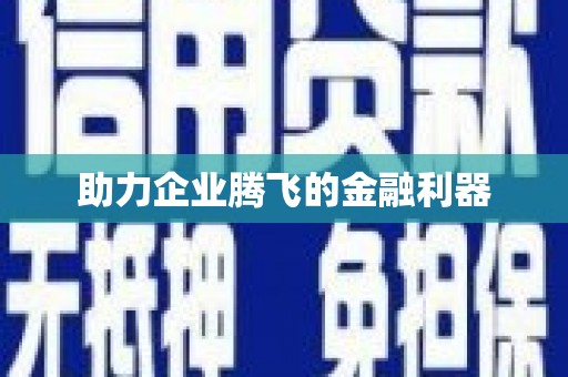 盘县助力企业腾飞的金融利器