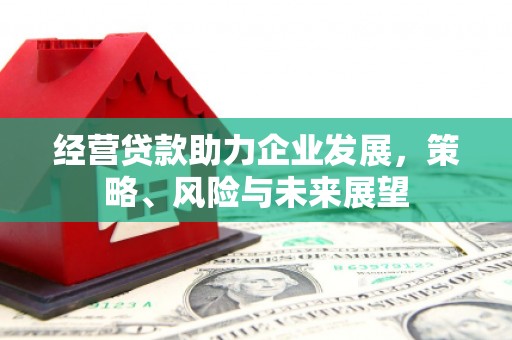 盘县经营贷款助力企业发展，策略、风险与未来展望