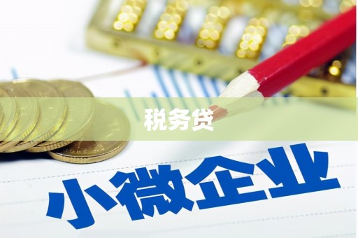 盘县税务贷