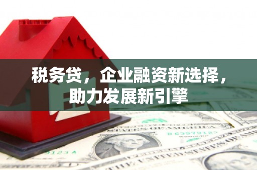 盘县税务贷，企业融资新选择，助力发展新引擎
